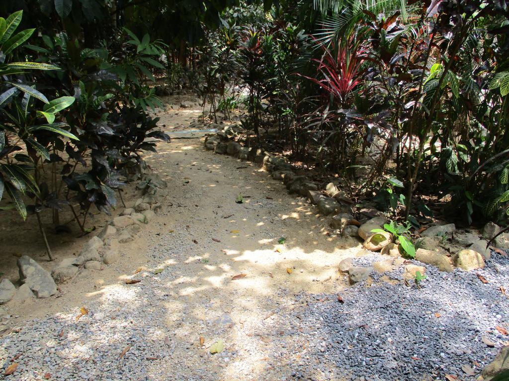 Khaosok Island Resort Khao Sok National Park Exterior photo