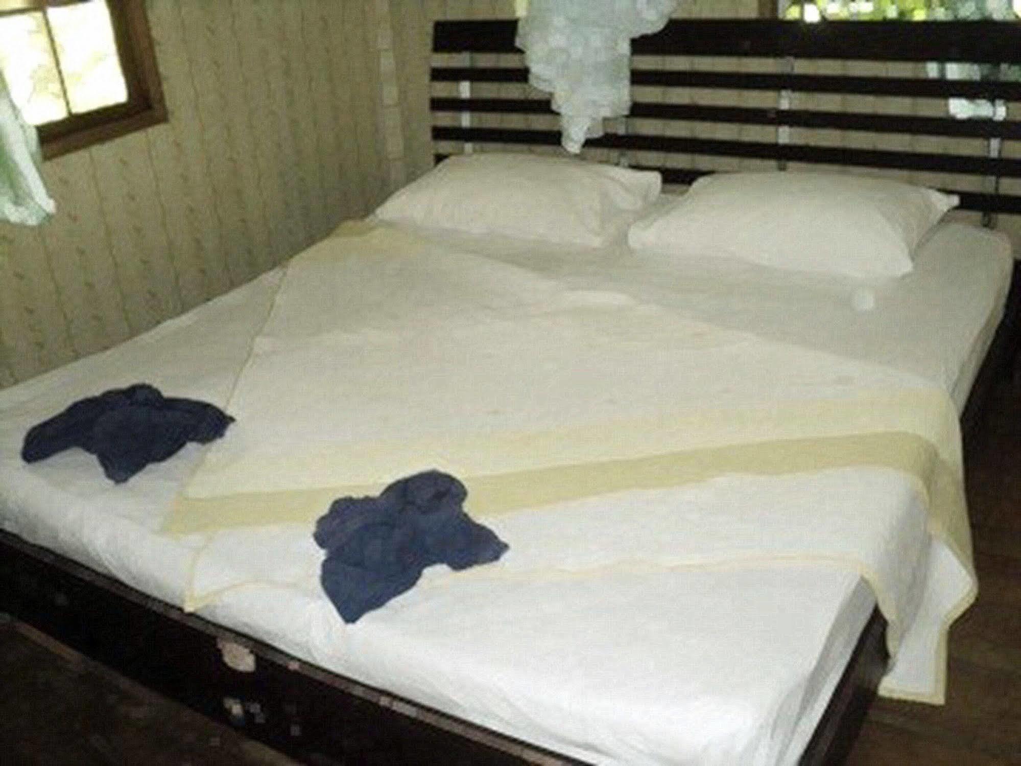 Khaosok Island Resort Khao Sok National Park Exterior photo